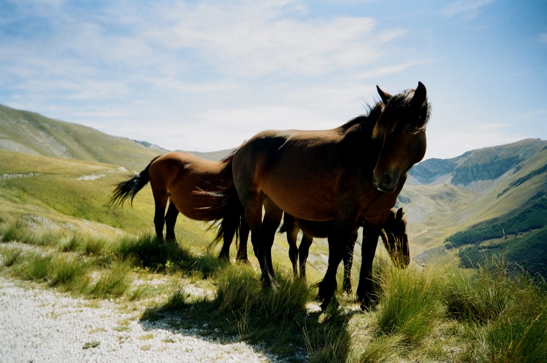 Val di Panico: ebrezza